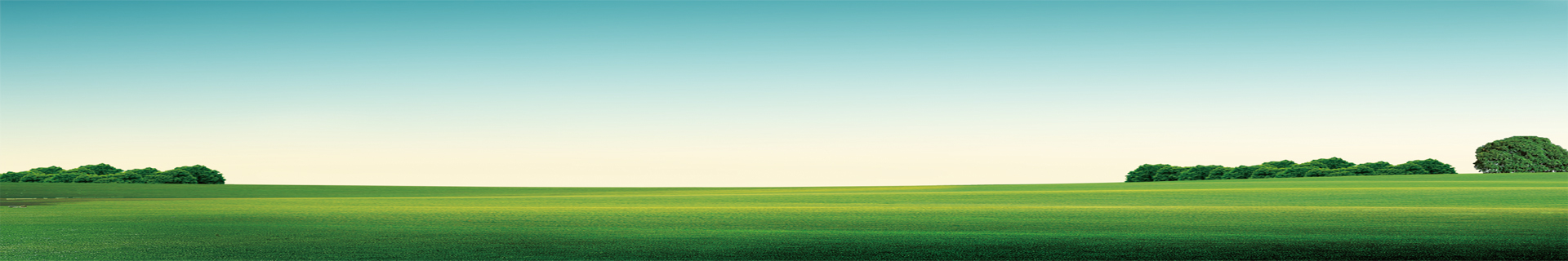 技术banner