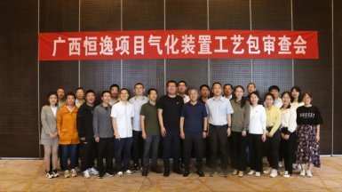 喜迎二十大 建功创一流 | 广西恒逸气化装置工艺包审查会顺利召开