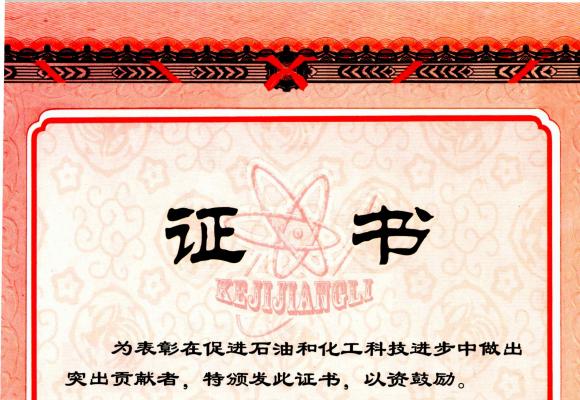 喜讯！赛鼎公司荣获2022年度中国石油和化学工业联合会科学进步奖