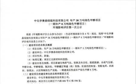 中化学赛鼎绿能科技年产38万吨绿色甲醇项目环境影响评价第一次公示