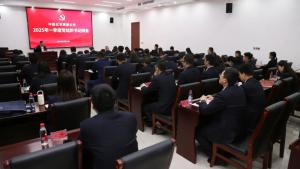 公司党委召开2025年度一季度党组织书记例会