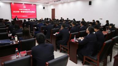 公司党委召开2025年度一季度党组织书记例会