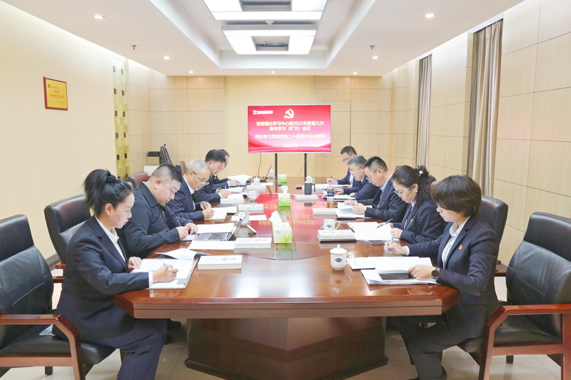 公司党委深入学习宣传贯彻党的二十届四中全会精神