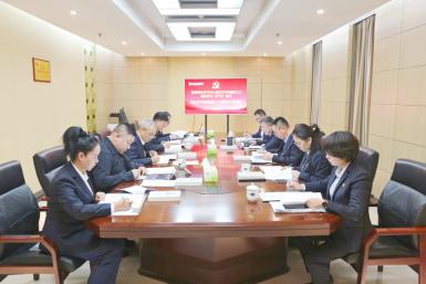 公司党委深入学习宣传贯彻党的二十届四中全会精神