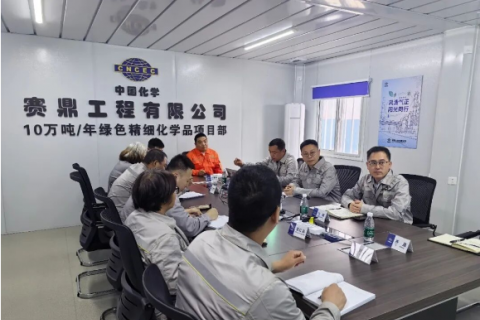 吉利赴四川泸天化10万吨/年绿色精细化学品项目调研指导工作